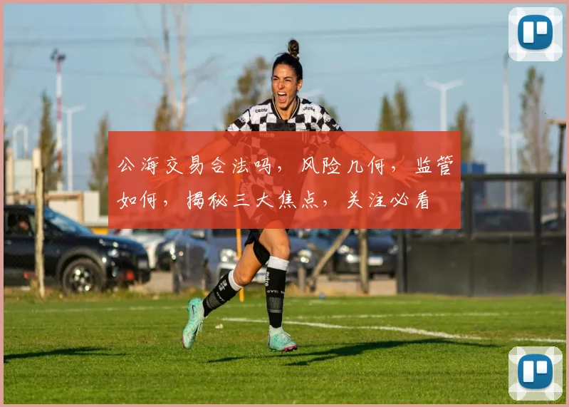 公海交易合法吗，风险几何，监管如何，揭秘三大焦点，关注必看